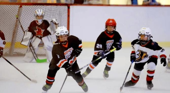 爱游戏入口关于冰球常规赛，天山闪电队与洞庭玄武队绝杀，VAR改判成焦点！全面提速抢占先机的信息